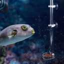 Estink Aquarium Feeding Tube, Acrylic Transparent Fish Feeder for Crystal Shrimp, Tropical Fish (Tube Length 40 cm)