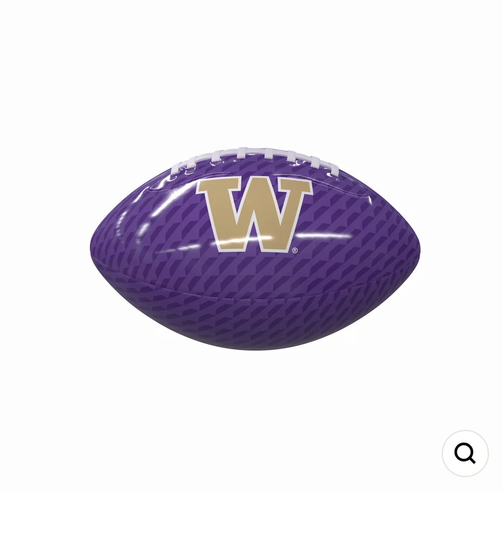 Washington Carbon Fiber Mini Glossy Football