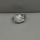 NIBCO C435-007 3/4 FE ADAPTER, White, 1 Count (Pack of 1) (0.75 Inch)