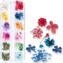60 pcs 3D Nails Dried Flowers Resin Accessory,Mini Natural for Nail Art Supplies Decal, Mixed Accessory Starry Flower Stickers, Colorful Dry Decals,2.8 * 0.75 * 0.67'' (12 Colors Green Leaf Version)