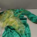 Fun Shack Green Girls Renaissance Costume, Medieval Costume Girls, Kids Princess Costumes, Halloween Costumes for Kids Medium