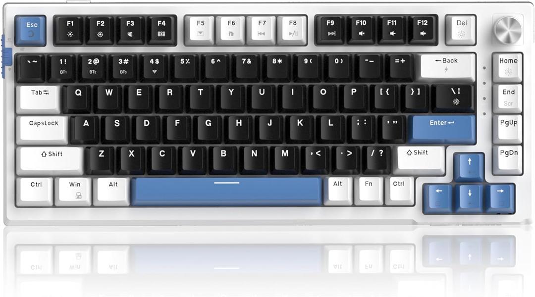 MageGee SKY81 75% Wireless Gasket Mechanical Gaming Keyboard, Hot Swappable RGB Custom Creamy Keyboard w/ 5-Layer Padding, BT/2.4G/USB-C, Knob Control, NKRO for Win/Mac (Mecha, Blue Whale Switch)