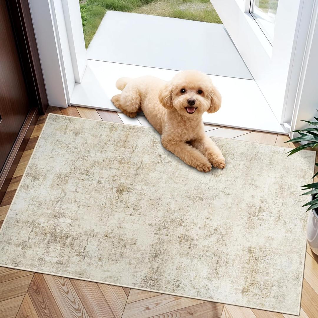 2x3 Rug Washable Entryway: Small Low Pile Stain Resistant Thin Door Mat for The Elderly Pets Kids Family - Non Slip Abstract Area Rugs for Kitchen Bathroom - 2x3 Beige