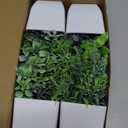Der Rose 4 Pack Fake Plants Mini Artificial Greenery Potted Plants for Home Decor Indoor Office Table Room Farmhouse Bathroom Decor