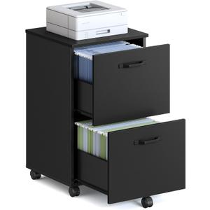 VASAGLE 2-Drawer File Cabinet, Small Rolling Filing Cabinet for Home Office, Printer Stand, for A4, Letter-Size Documents, 15.7 x 16.5 x 27.6 Inches, Matte Black UOFC040B16