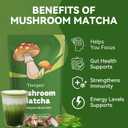 Mushroom Matcha Powder with 6 Adaptogen Mushrooms & Ceremonial-Grade Matcha Powder - Boosts Energy, Focus, Digestion, Immunity (30 Servings) (EXP 08/31/28)