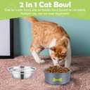 Cat Food and Water Bowls, Stainless Steel Cat Bowls for Small Dogs & Cats, Rust Resistant Stainless Steel, Detachable Durable Silicon Bowl Holder (Gray)