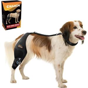 CHAMIN Adjustable Dog Knee Brace for Torn ACL Hind Leg, Support for Tear Ligament, Osteoarthritis, Rear Leg Limp, Recovery After Surgery, et(Right Leg, L)