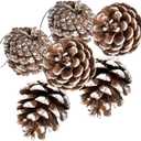 24 PCS Pine Cones for Christmas Tree Snowflake Natural Pinecones Ornament with String Pendant Crafts for Xmas Party Home Decor Fall Winter Holiday Christmas Tree Decoration (24)