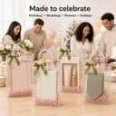Dobafun Clear Gift Bags with Handles, 20 PCS Clear Goodie Bags with Ribbon, 20 Count