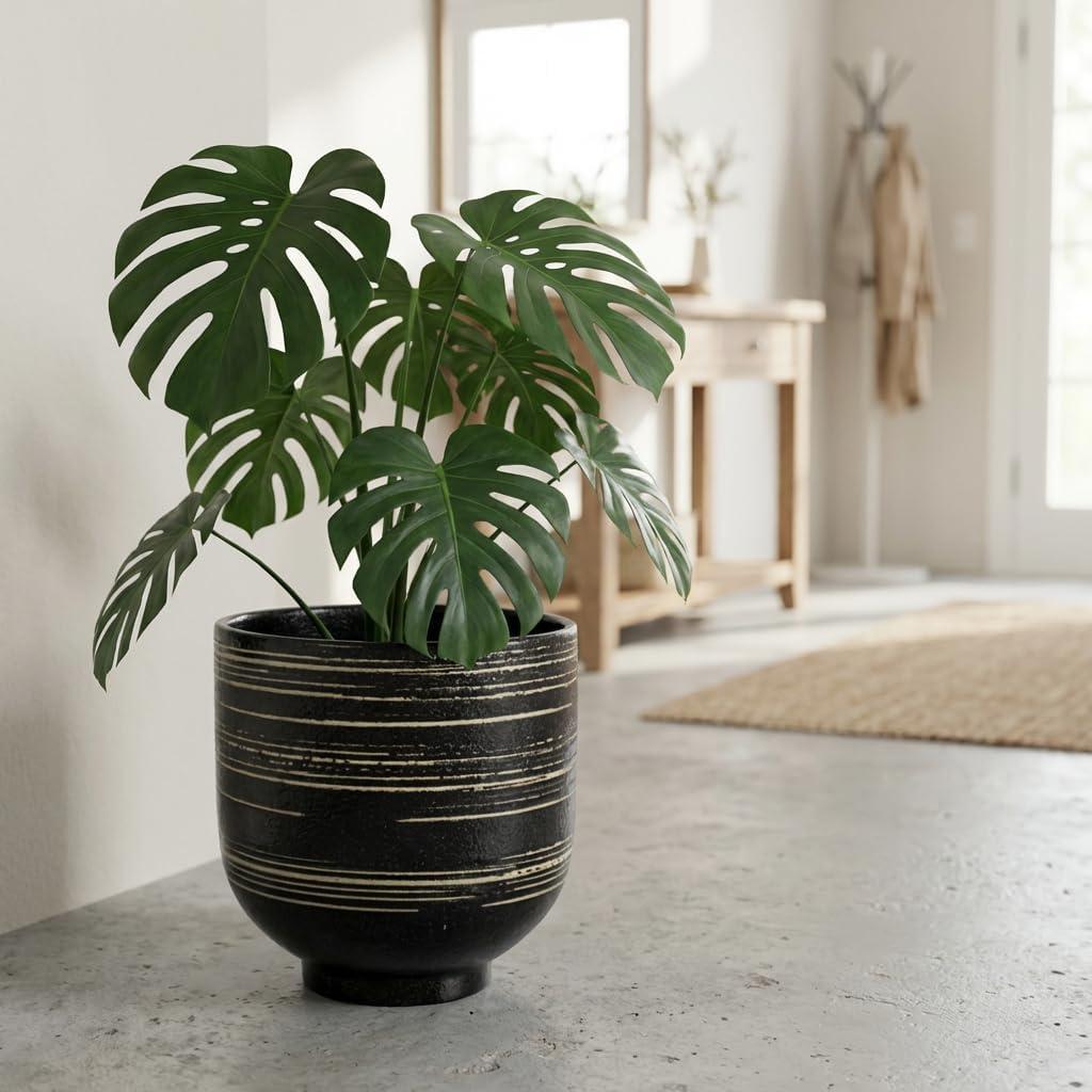Large Black Ceramic Planter for Indoor Trees, Modern Indoor Floor Planter Pot for Olive Trees & Faux Olive Trees, Pottery Planter with Drainage for Real Plants (10 Inch)