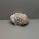 Soft Stretch Bed Headboard Slipcover, Solid Color Dustproof Bed Head Protector Cover for Full Queen King Size Bedroom Decoration (Tan, Queen headboard Length(55-67))