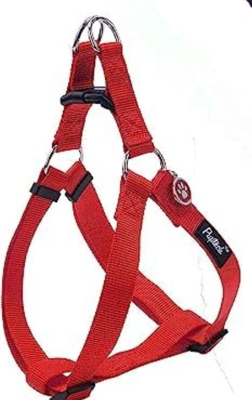 PUPTECK No Pull Dog Harness (Harness Chest Girth 22"-30.5")