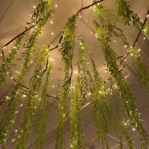 Bucherry Jungle Theme Decoration Set, 68.9ft Artificial Hanging Willow Vines Greenery for Classroom, Woodland Forest Rainforest Safari Party, Enchanted Indoor Outdoor Home Garden Wall DIY Decor