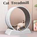 Cat Exercise Wheel, Silent Running Treadmill with Replaceable Carpet Mat, Lockable Indoor Cat Toy for Weight Management & Kitty Daily Workout