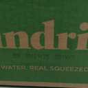 Spindrift Mango Black Tea Can 12 Ounce (Pack of 24), Best By: 10/21/25