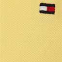 Tommy Hilfiger Boy's Ivy Polo (Big Kids), L