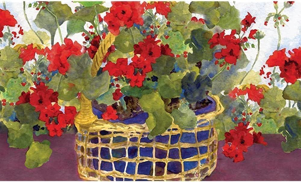Front Door Mat Indoor Entrance Geranium Basket Decorative Floor Mat Floral Colorful Red Flower Doormat Funny Doormat Cute Rugs for Kitchen 18X30 inch
