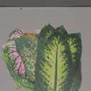 150 Pcs 8.7 Inch Parchment Paper Leaves Charcuterie Board for Cheese Food Serving Decoration Parchment Tropical Leaves for Tropical Party Plate Table Dinner Food Accessories