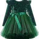 UNICOMIDEA 3-4 Toddler Velvet Dress Little Girls Tutu Tulle Crewneck Long Sleeve Holiday Party Fashion Dresses (Green)