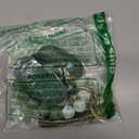 Filoto Silicone Airpod 3rd Generation Case Cover with Bracelet Keychain, Cute Protective Case for Apple Air Pod 3 Wireless Charging Case Women Girl, Cactus Green