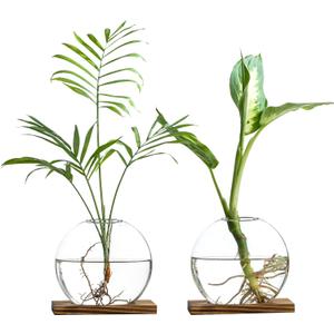 Glass Planter Propagation Station with Wooden Base - Clear Oblate Hydroponic Vase, Decorative Desktop Flower Vase for Home, Office, Windowsill - Gift for Plant Lovers (2)