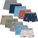 Hanes boys Hanes Boys' and Toddler Underwear, Comfort Flex Wb Boxer Briefs, 10-pack (4-5T, Days of the Week, Blue, Tan, Green)