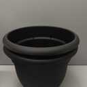 Bloem Ariana 12" Plastic Self-Watering Planter, Black, 2-Pack | Self-watering disk at the bottom of each pot that acts as a water wick and reservoir for optimal plant health