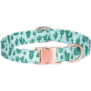 2 x Dog Collar, Cute Flower Floral Patterns Pet Collars for Girl Female Boy Small Medium Large Dogs, Strong Rose Gold Metal Buckle, Soft Cotton Adjustable Puppy Dog Collar (S( 5/8"x 10.2-16.5"), Green) 2 x Dog Collar, Cute Flower Floral Patterns Pet Collars for Girl Female Boy Small Medium Large Dogs, Strong Rose Gold Metal Buckle, Soft Cotton Adjustable Puppy Dog Collar (S( 5/8"x 10.2-16.5"), Green)