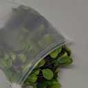 AENTGIU Faux Greenery Stems Branches for Vases, 4 Pcs Realistic Ficus Branches Fake Eucalyptus Stems, Twig-Style Fake Plants for Vase Fillers, Centerpieces, and Home Decor