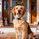 DOGWONG Easter Dog Collar-Cute Blue Easter Bunny Dog Collar, Easter Egg &Rabbit Pet Collars Puppy Collar Gifts with Quick Release Buckle for Girl&Boy Dogs,L