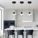 ykolupty Globe Pendant Light Black Pendant Light Fixtures with Clear Glass 1-Light Hanging Lights for Kitchen Dining Room Bathroom Bedroom Hallway