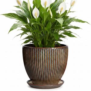 Ceramic Planter, 8 Inch Plant Pots for Indoor Plants, Round Planter with Drainage Hole and Saucer, Modern Decorative Flower Pots, House Office Decor, Gifts for Plant Lovers, Retro Brown