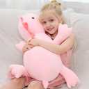 JOD Weighted Dinosaur Stuffed Animals, Dinosaur Weighted 5 lbs, 26" Large Weighted Plush Animal, Cute Plush Toy Pillow, Soft Dino Plushie Gifts for Adults, Boys & Girls (66 CM Pink)