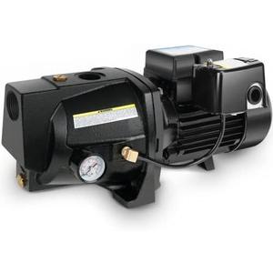 Acquaer 1HP Shallow Well Jet Pump,Cast Iron, Well Depth Up to 25ft, 115V/230V Dual Voltage, Automatic Pressure Switch Black