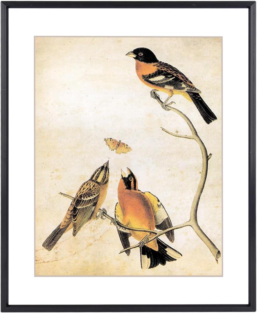 10x12 Picture Frame, Black Aluminum Metal Photo Frames with HD Glass, Fits 8x10 with Mat or 10 x 12 without Mat, Display for Wall, 1 Pack