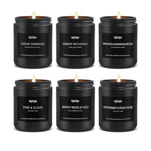 6 Pack Candles for Home Scented Aromatherapy Candles Gifts Set for Men, Men Candle Set, 42 oz 300 Hour Long Lasting Candles, Gifts for Mens, Birthday, Anniversary Present, 2 Missing