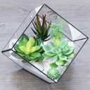 Supla 5 Pcs Assorted Artificial Succulents Plants Unpotted Small Green Cactus Echeveria Picks Fake Succulents Bulk for Succulent Garden Centerpiece Wreath Floral Arrangement Indoor Outdoor Home Dcor
