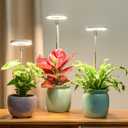 LORDEM Grow Light, Full Spectrum LED Plant Light for Indoor Plants, Height Adjustable Growing Lamp with Auto On/Off Timer 4/8/12H, 4 Dimmable Brightness, Ideal Small Pack of 3, Warm White