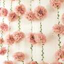 Pink Tissue Paper Pom Pom Garlands, Paper Flowers for Birthday Decorations, Baby Shower, Wedding Engagement, Bridal Shower, Spring Summer Party Decorations, 2 Pcs