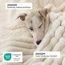 Bedsure ComfyFleece Waterproof Dog Blankets for Small Dogs - Soft Puppy Cat Blanket Corduroy Fleece Washable, Cozy Calming Reversible Furniture Protection for Pet Kitten Doggy,25"x35", Cream