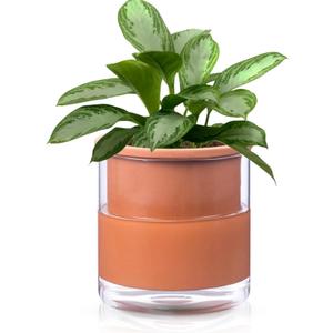 African Violet Pots, 6 Inch Self Watering Pots for Indoor Plants, Terracotta Clay Pot with Glass Reservoir, Easy Plant Self Watering Planter,Plant Pot with Absorbent Inner Pot for Flower