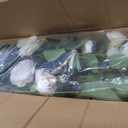 Datietiao Artificial Camellia Tree 2 Pack - Realistic Camellia Plants in Pot with White Flowers, Lifelike Faux Greenery for Living Room, Patio, or Wedding, White