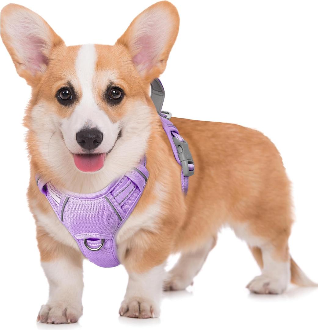 BARKBAY No Pull Dog Harness Large Reflective Dog Harness with Front Clip and Easy Control Handle for Walking Training Running with ID tag Pocket(Violet Purple,M)