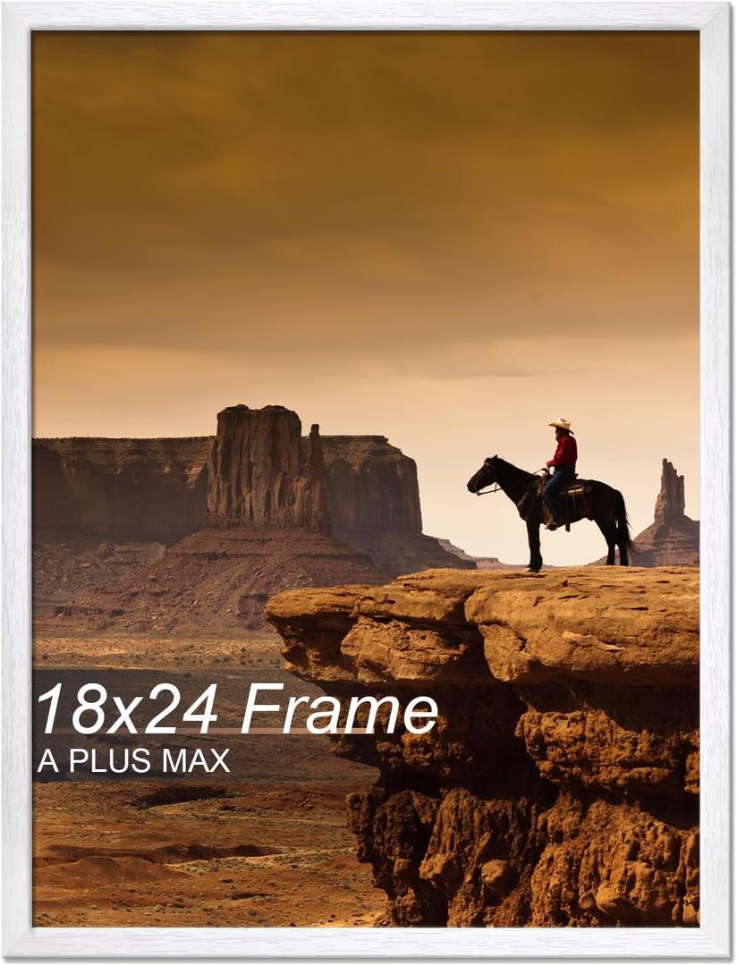 A PLUS MAX 18x24 Picture Frame White Light Weight Wall Mount