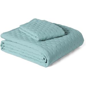 Amazon Basics Brushed Microfiber Quilt Set, Extra Soft with Natural Texture, 2-Piece, Twin/Twin XL, Blue
