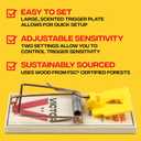 Victor Mouse Traps M035-12, Plastic Pedal, Sustainably Sourced FSC Wood, Wooden Mouse Traps, 12 Pack