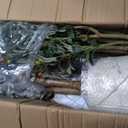 7FT Artificial Olive Tree with Lights & Planter, Tall Faux Olive Plant