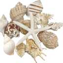 12 PCS Large Seashells Natural Mixed Beach Sea Shells Starfish, Perfect for Beach Theme Party, Home Decor, DIY Crafts, Fish Tank and Vase Filler