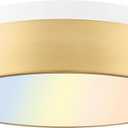 AUTELO LED Close to Ceiling Light Fixture 12" LED 18W Flush Mount Ceiling Light Fixtures with Frosted Glass Shade in Brass Finish for Kitchen LivingRoom Hallway Bedroom C3312 BRZ LED (Brushed Gold)